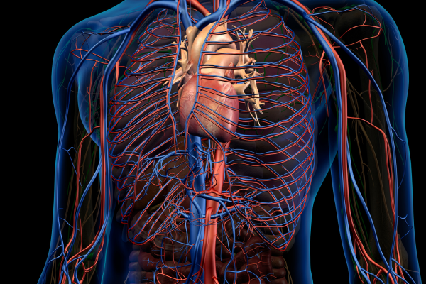 cardiologo-precio-de-mapeo-de-la-presion-arterial.png